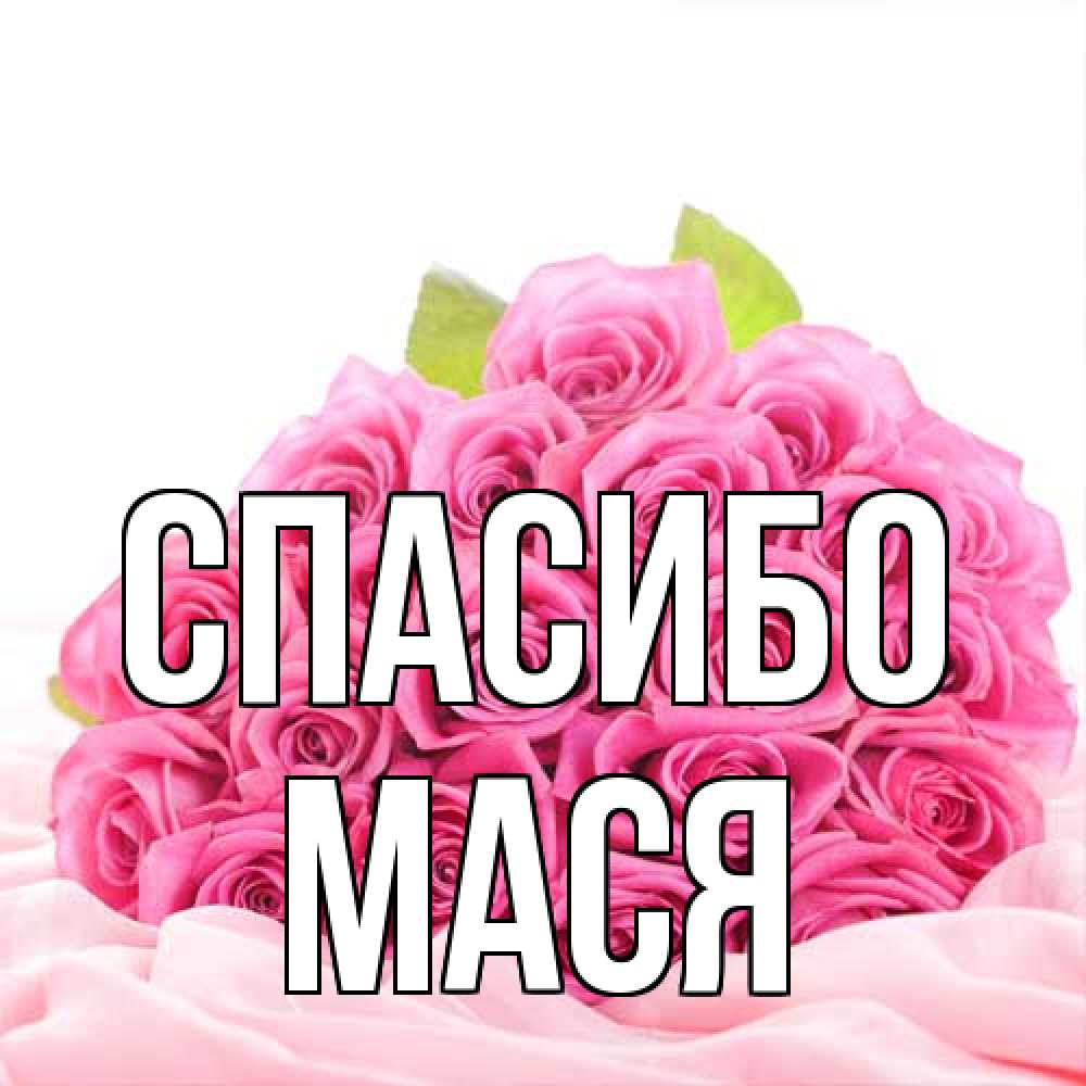 Открытка на каждый день с именем, Мася Спасибо розовые розы с подписью Прикольная открытка с пожеланием онлайн скачать бесплатно 