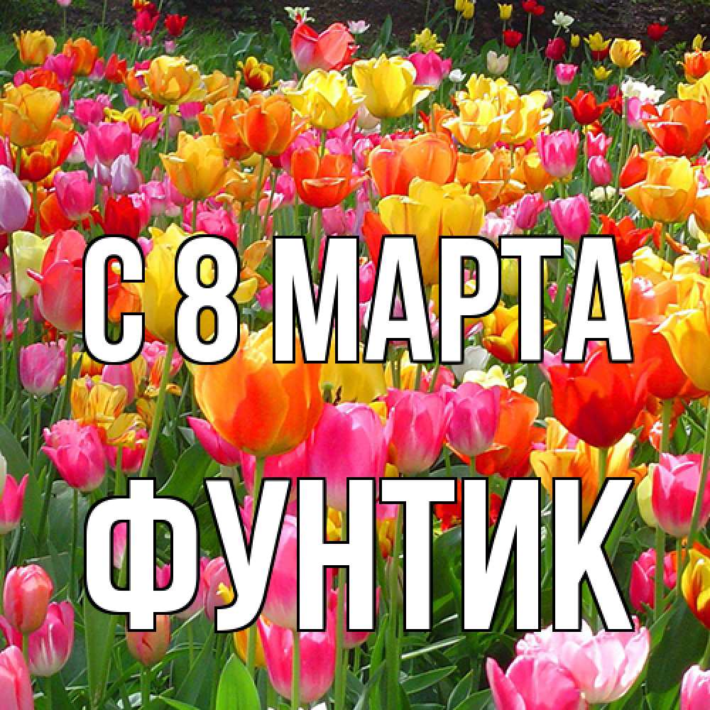 Открытка на каждый день с именем, фунтик C 8 МАРТА на международный женский день Прикольная открытка с пожеланием онлайн скачать бесплатно 