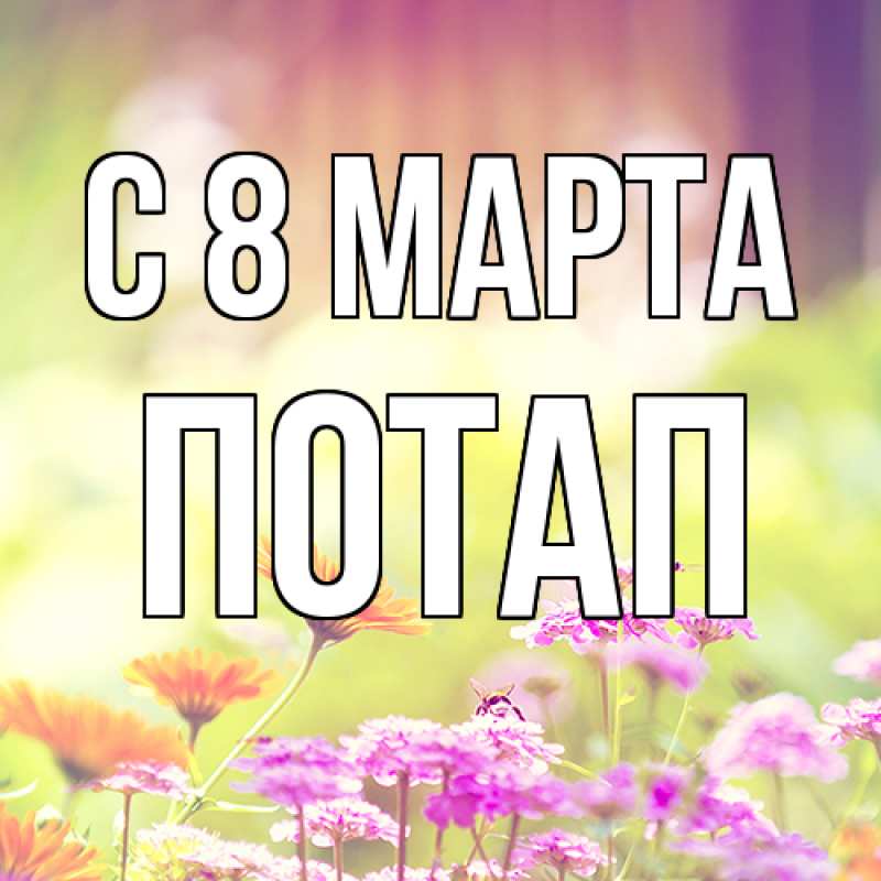 Картинка C 8 МАРТА, Потап