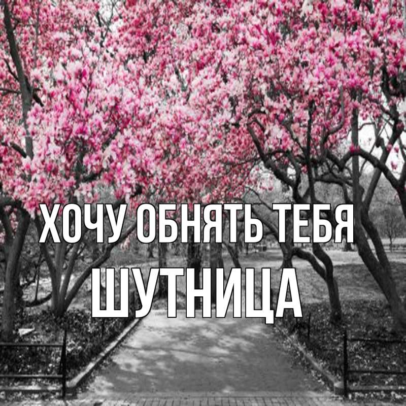 Картинка Хочу обнять тебя, Шутница