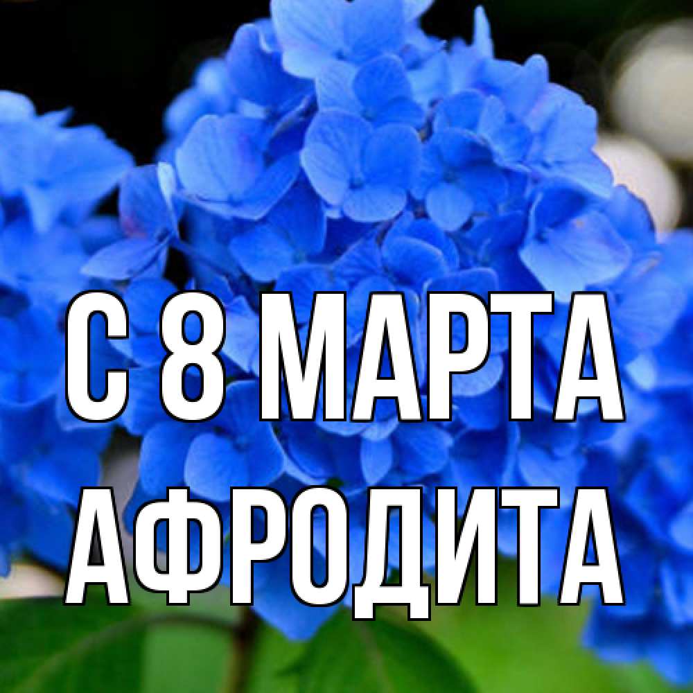 Открытка на каждый день с именем, Афродита C 8 МАРТА синие цветы Прикольная открытка с пожеланием онлайн скачать бесплатно 