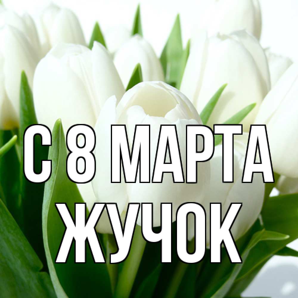 Открытка на каждый день с именем, жучок C 8 МАРТА цветы Прикольная открытка с пожеланием онлайн скачать бесплатно 