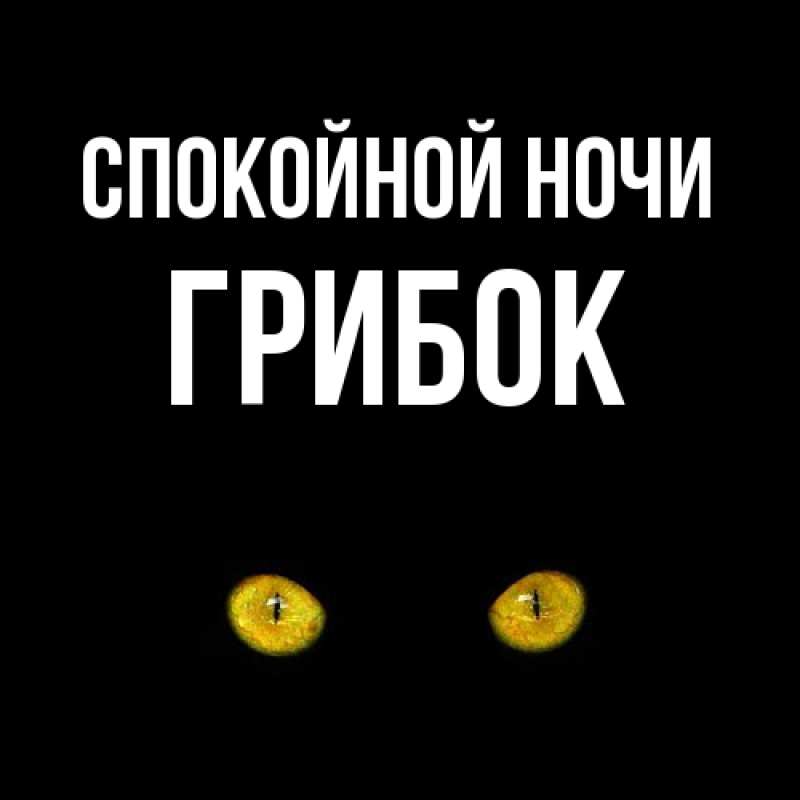 Картинка Спокойной ночи, Грибок