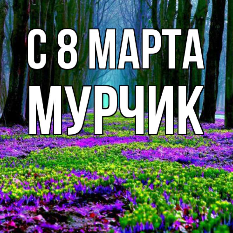 Картинка C 8 МАРТА, Мурчик