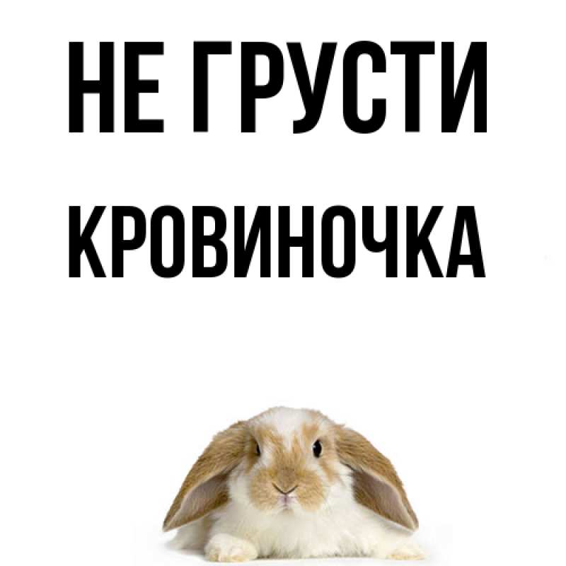 Картинка Не грусти, кровиночка