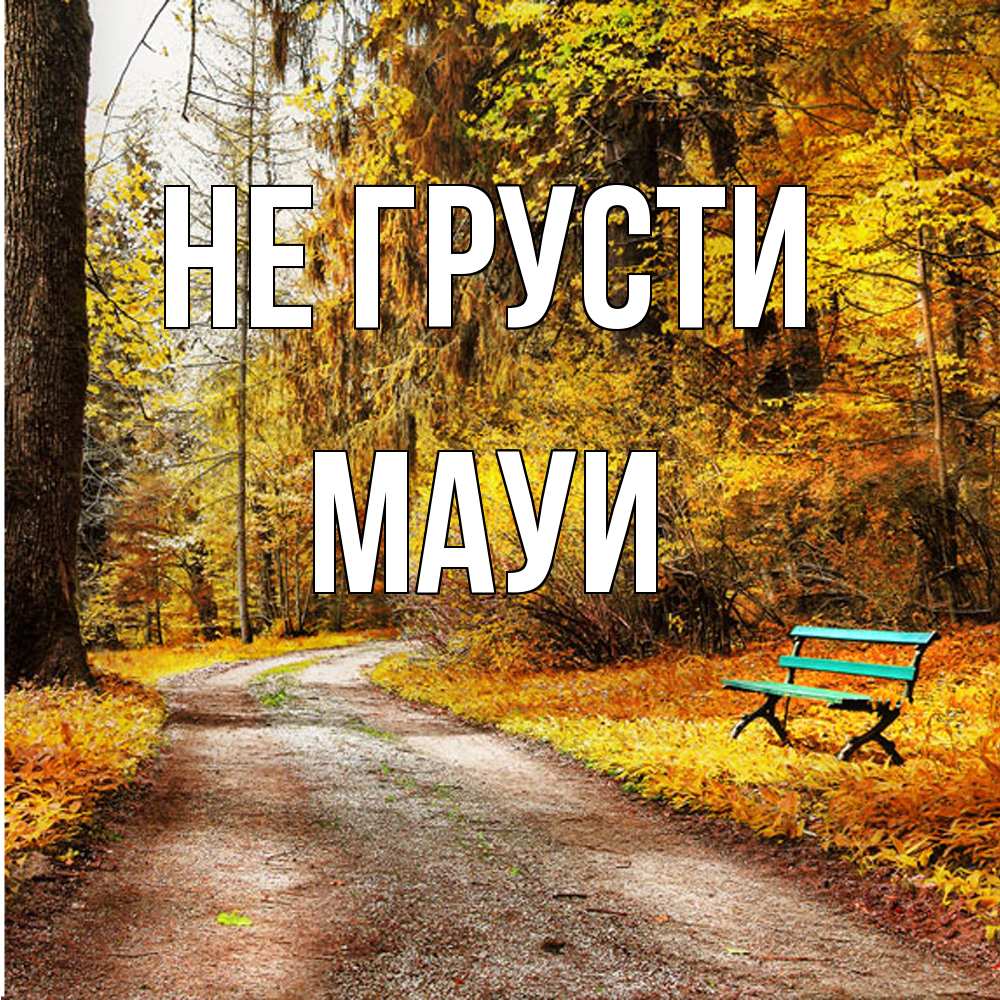Открытка на каждый день с именем, Мауи Не грусти зеленая лавочка Прикольная открытка с пожеланием онлайн скачать бесплатно 