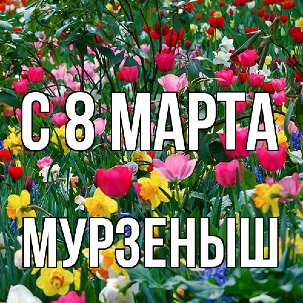 Открытка на каждый день с именем, мурзеныш C 8 МАРТА с международным женским днем поздравления для женщины Прикольная открытка с пожеланием онлайн скачать бесплатно 