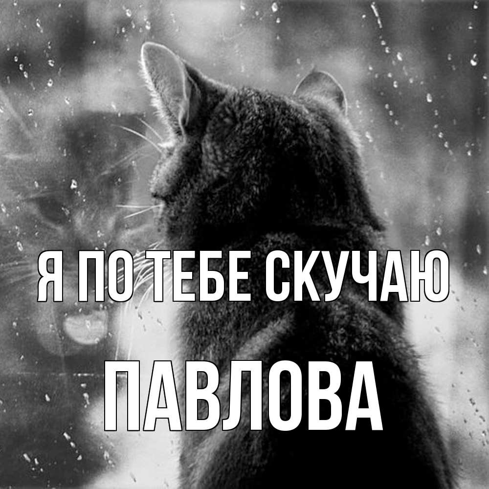 Открытка на каждый день с именем, Павлова Я по тебе скучаю скорее ко мне приходи 1 Прикольная открытка с пожеланием онлайн скачать бесплатно 