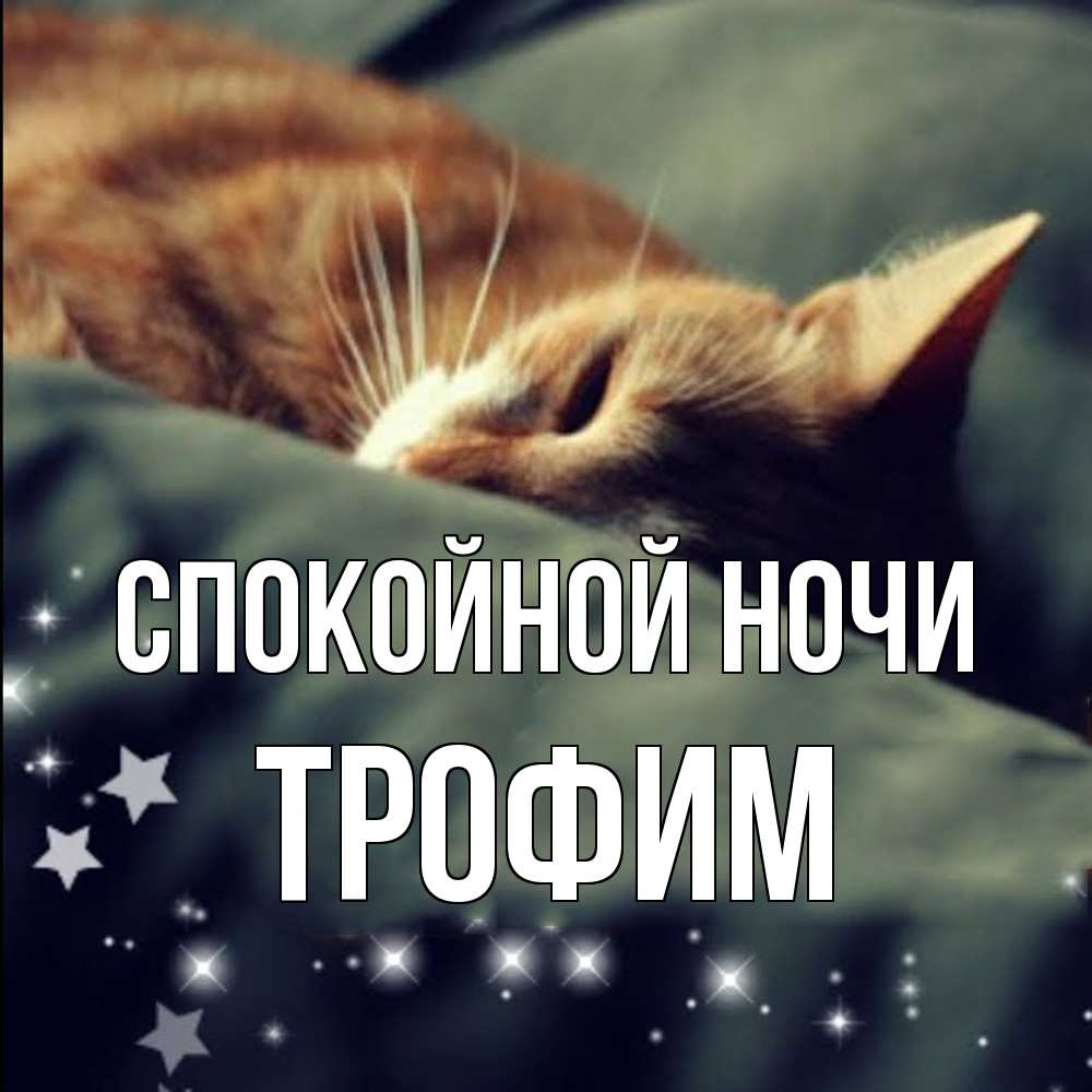 Открытка на каждый день с именем, Трофим Спокойной ночи кроватка Прикольная открытка с пожеланием онлайн скачать бесплатно 