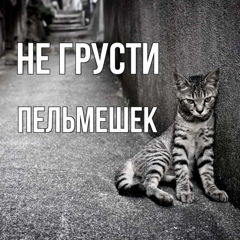 Картинка Не грусти, пельмешек