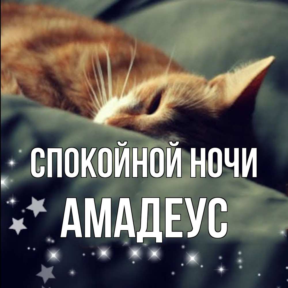 Открытка на каждый день с именем, Амадеус Спокойной ночи кроватка Прикольная открытка с пожеланием онлайн скачать бесплатно 