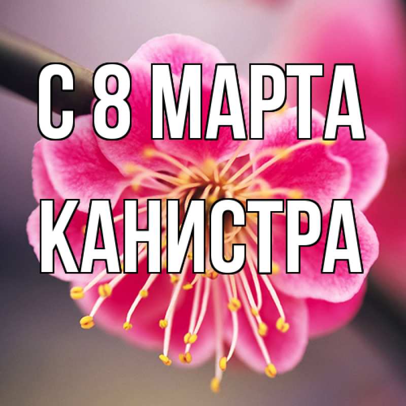 Картинка C 8 МАРТА, Канистра