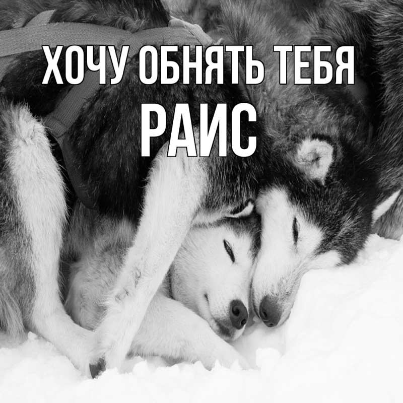 Картинка Хочу обнять тебя, Раис