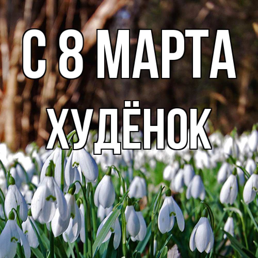 Открытка на каждый день с именем, худёнок C 8 МАРТА с подснежниками 1 Прикольная открытка с пожеланием онлайн скачать бесплатно 