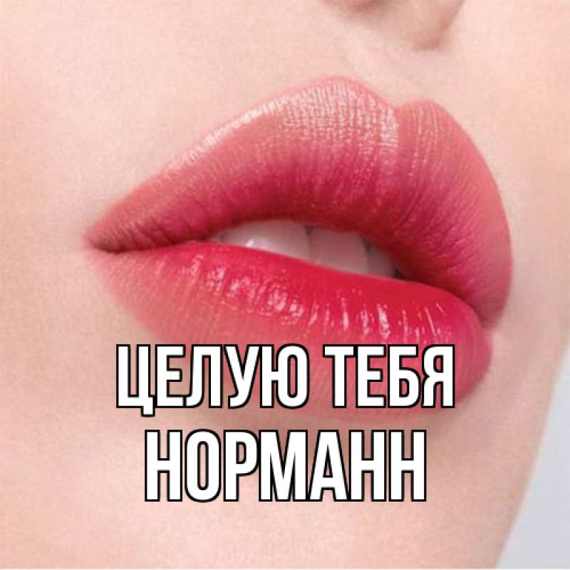 Картинка Целую тебя, Норманн