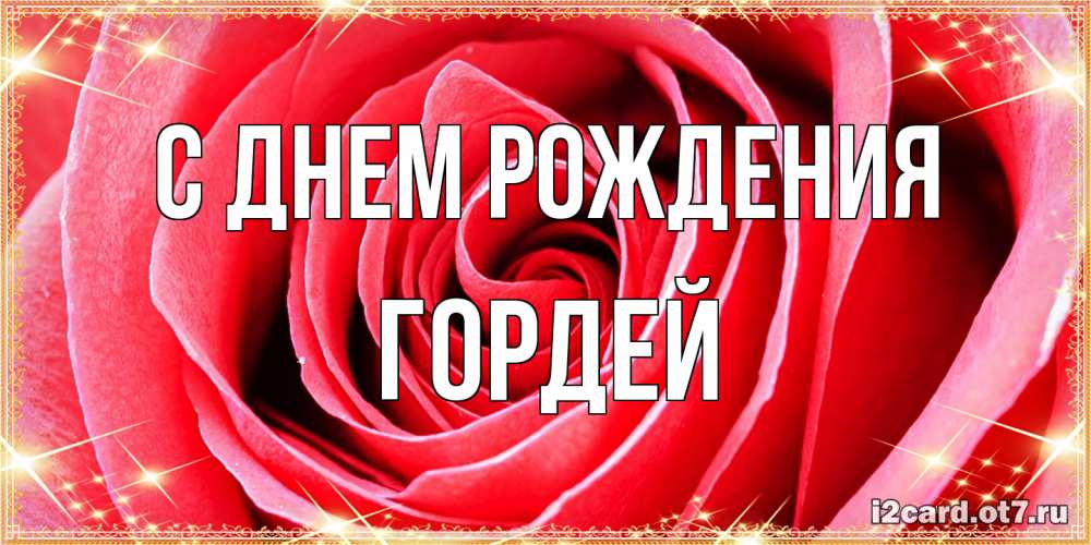 Открытка на каждый день с именем, Гордей С днем рождения розовая роза очень крупный бутон Прикольная открытка с пожеланием онлайн скачать бесплатно 