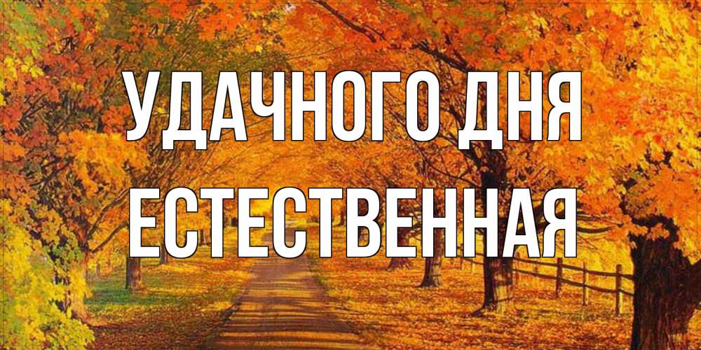 Открытка на каждый день с именем, Естественная Удачного дня деревья с осенними листьями Прикольная открытка с пожеланием онлайн скачать бесплатно 