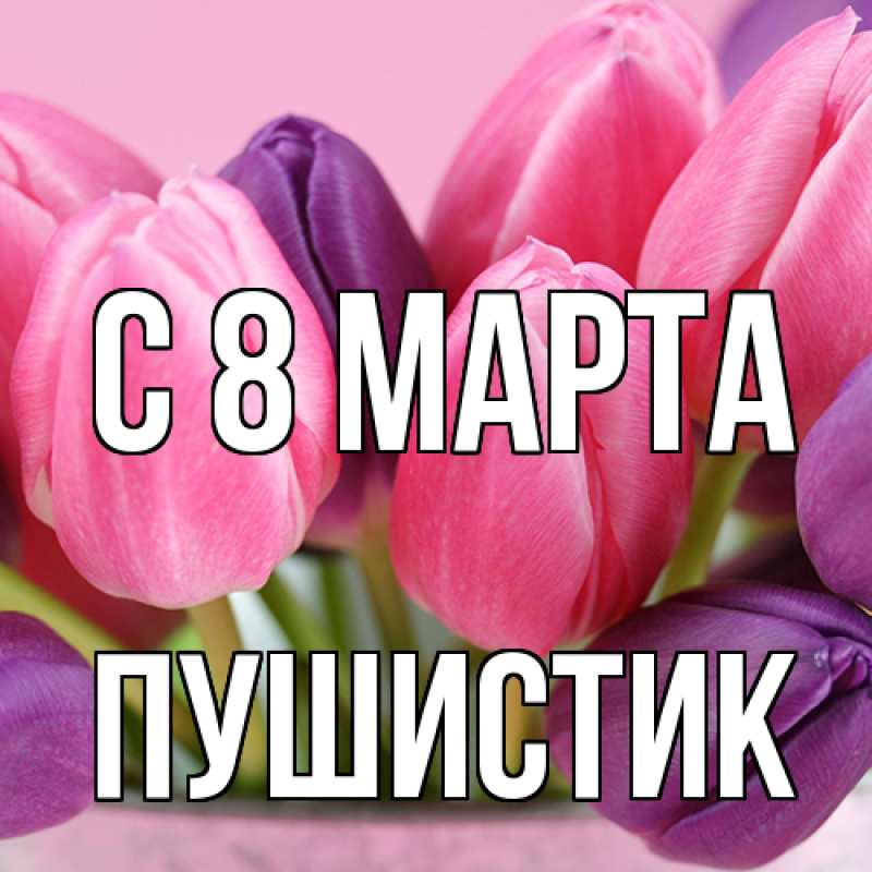 Картинка C 8 МАРТА, Пушистик