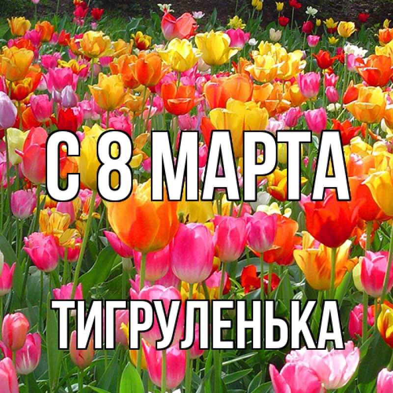 Картинка C 8 МАРТА, Тигpуленька