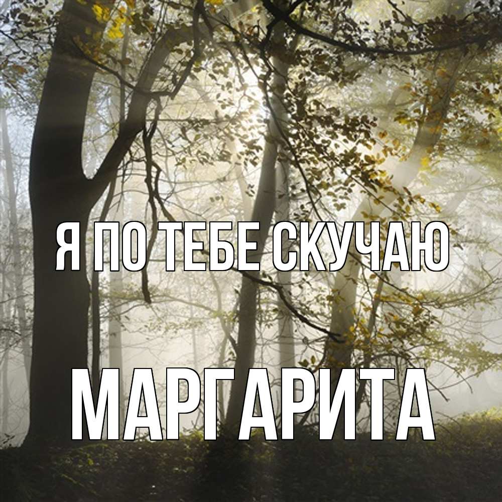 Открытка на каждый день с именем, Маргарита Я по тебе скучаю грустно Прикольная открытка с пожеланием онлайн скачать бесплатно 