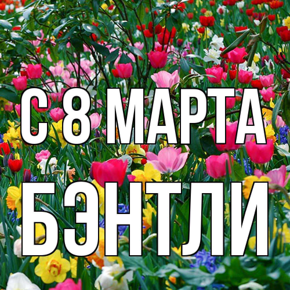 Открытка на каждый день с именем, Бэнтли C 8 МАРТА с международным женским днем поздравления для женщины Прикольная открытка с пожеланием онлайн скачать бесплатно 