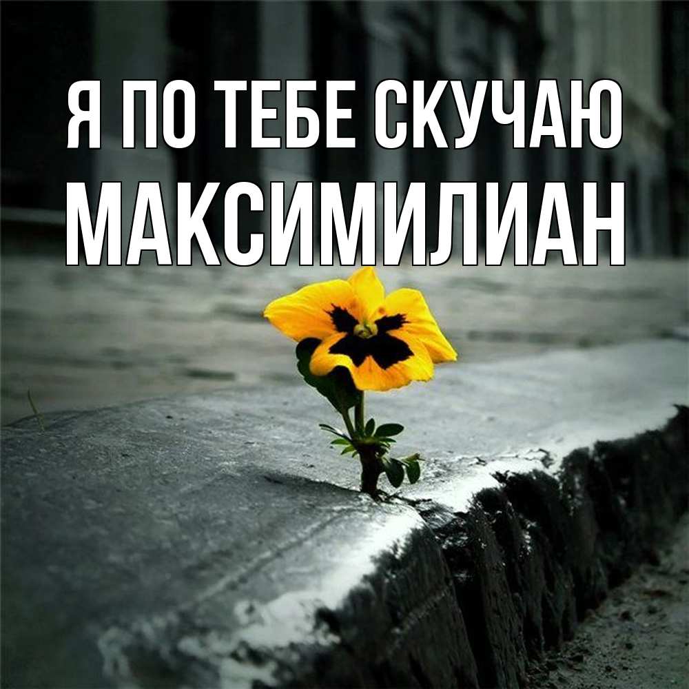 Открытка на каждый день с именем, Максимилиан Я по тебе скучаю надеюсь будет лучше Прикольная открытка с пожеланием онлайн скачать бесплатно 