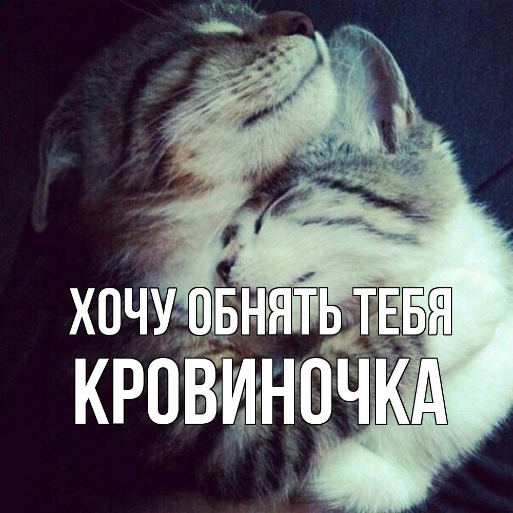 Открытка на каждый день с именем, кровиночка Хочу обнять тебя полосатики Прикольная открытка с пожеланием онлайн скачать бесплатно 