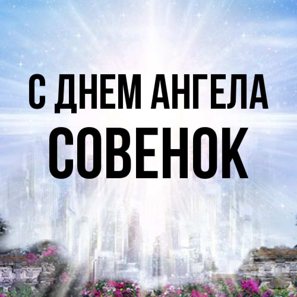 Открытка на каждый день с именем, совенок С днем ангела небесный свет Прикольная открытка с пожеланием онлайн скачать бесплатно 