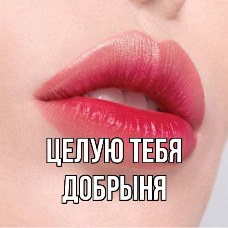 Картинка Целую тебя, Добрыня