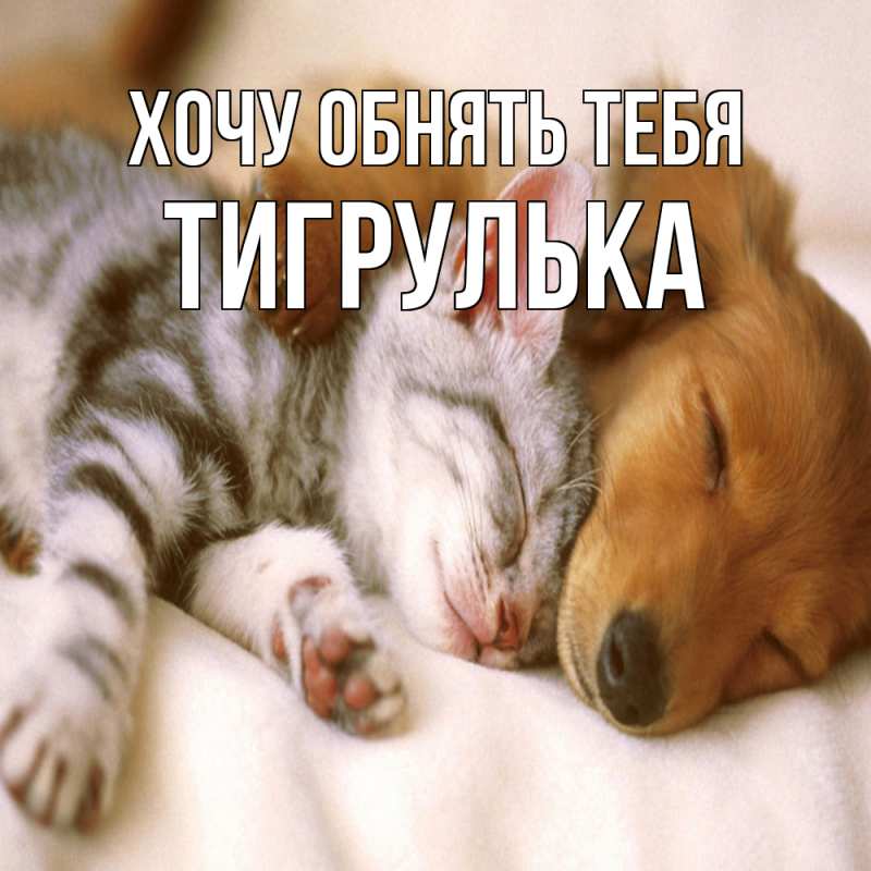 Картинка Хочу обнять тебя, тигрулька