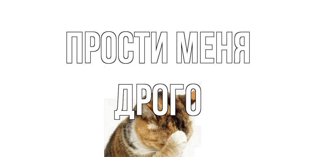 Открытка на каждый день с именем, Дрого Прости меня кот Прикольная открытка с пожеланием онлайн скачать бесплатно 