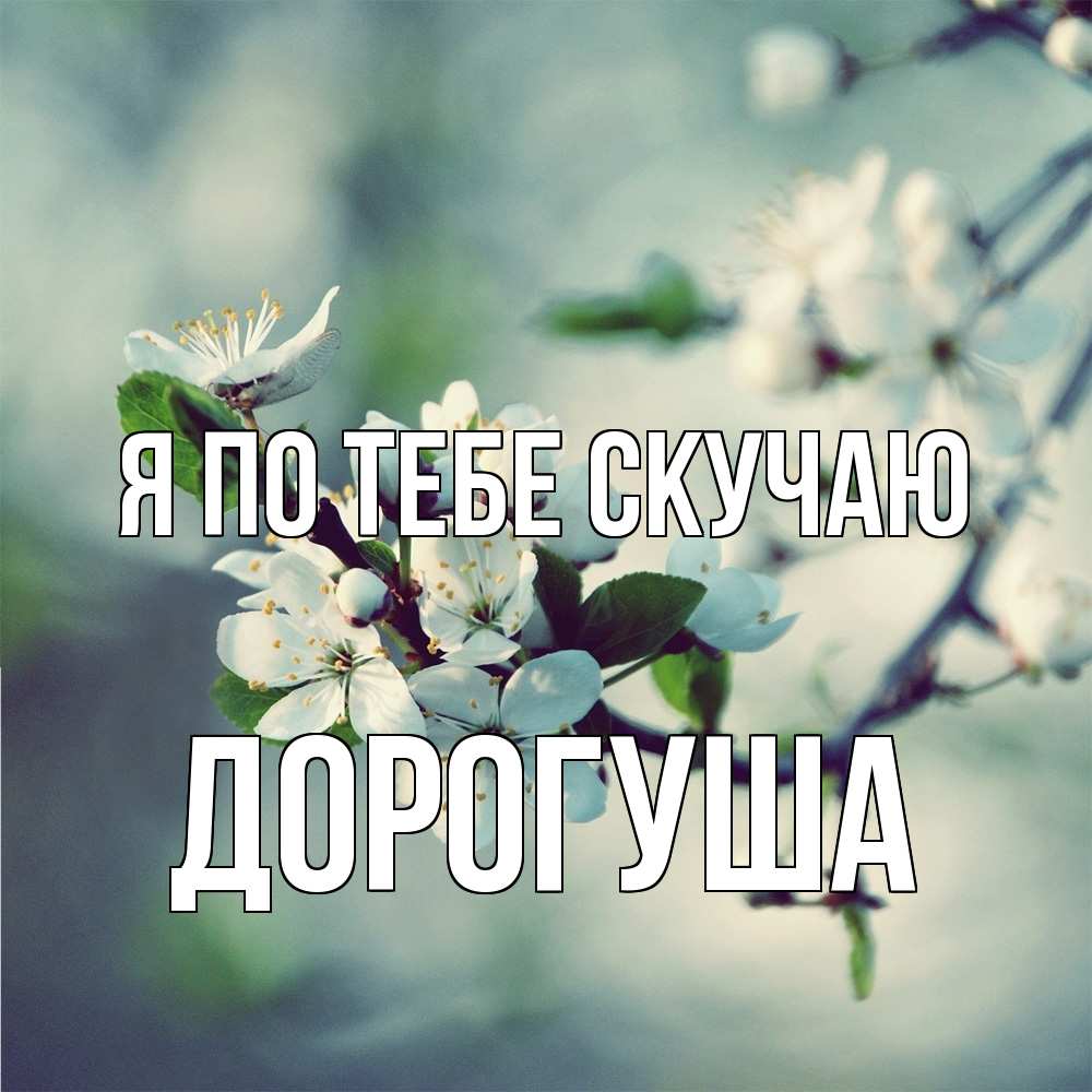 Открытка на каждый день с именем, дорогуша Я по тебе скучаю весна Прикольная открытка с пожеланием онлайн скачать бесплатно 