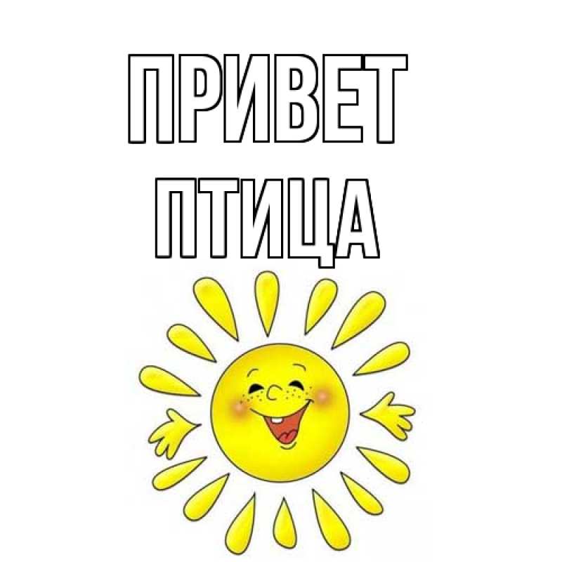 Картинка Привет, Птица