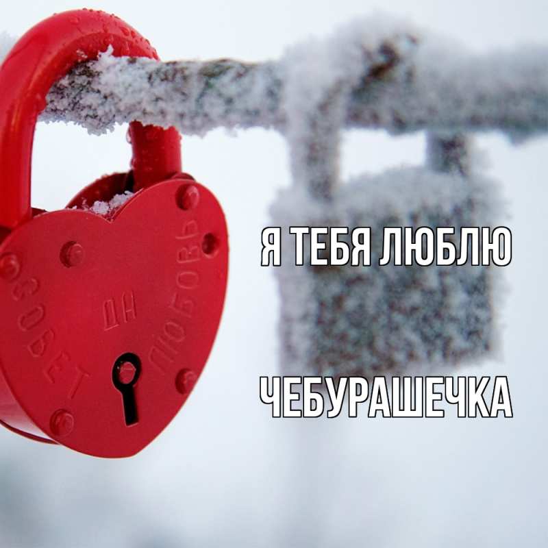 Картинка Я тебя люблю, Чебурашечка
