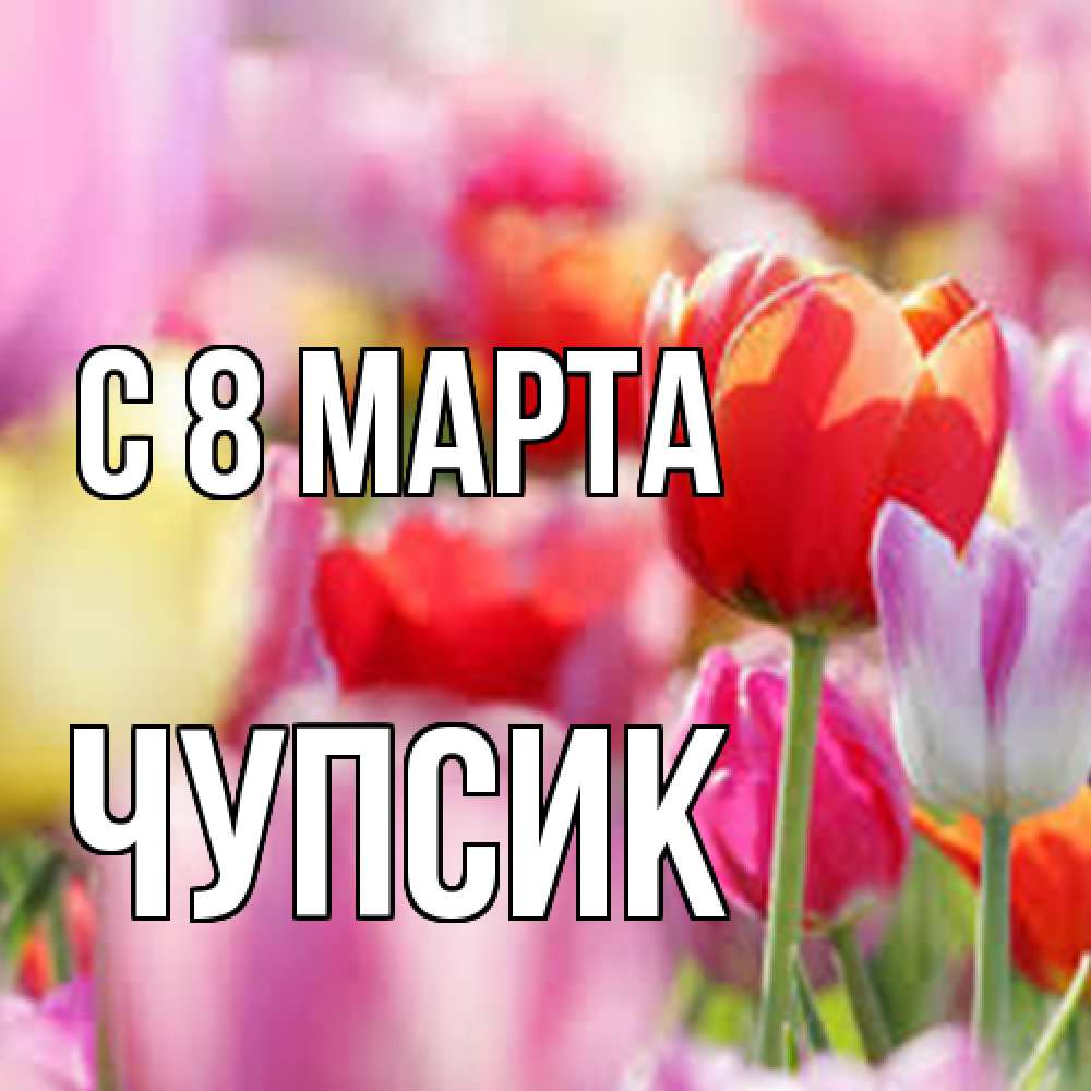 Открытка на каждый день с именем, Чупсик C 8 МАРТА на международный женский день 2 Прикольная открытка с пожеланием онлайн скачать бесплатно 