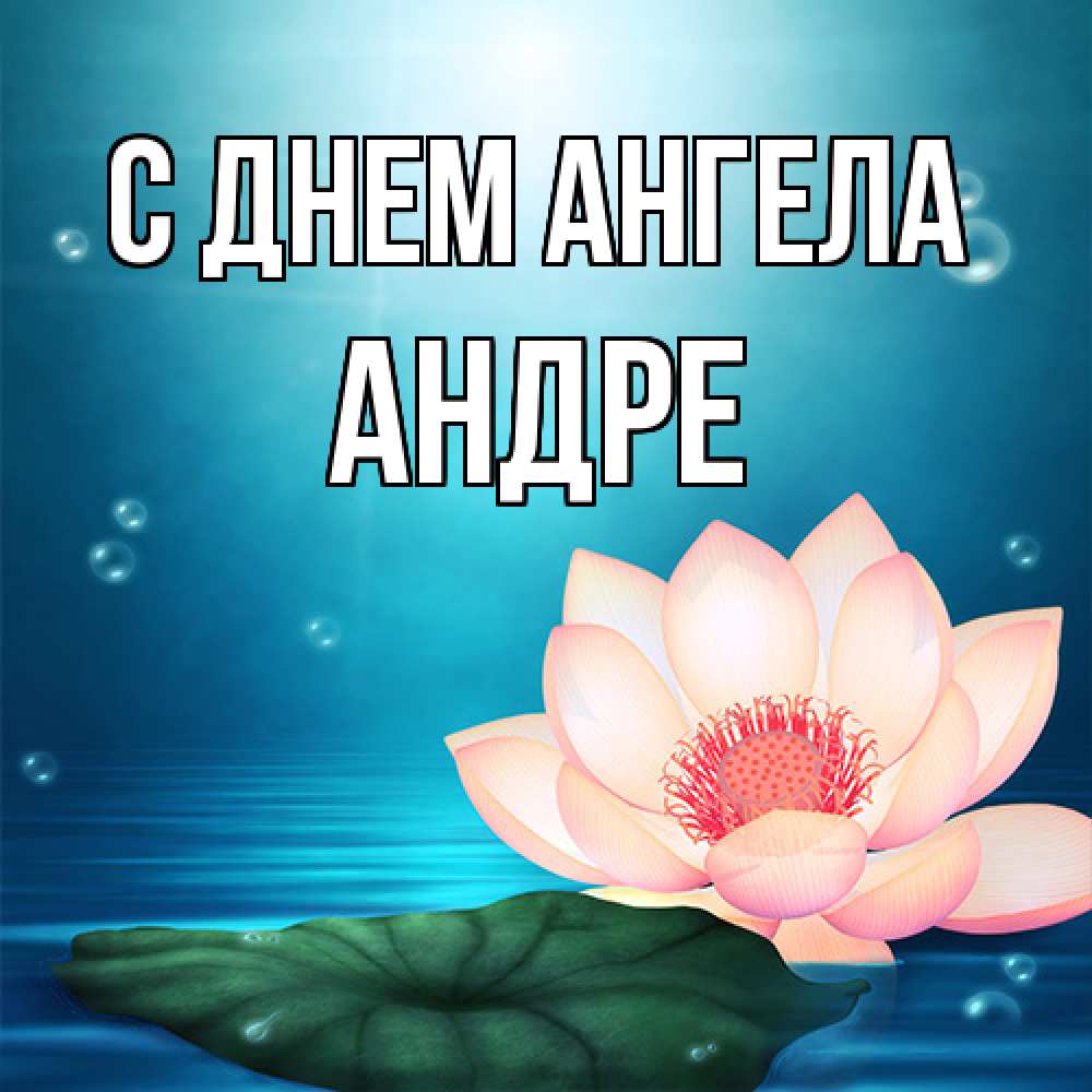 Открытка на каждый день с именем, Андре С днем ангела кувшинка Прикольная открытка с пожеланием онлайн скачать бесплатно 