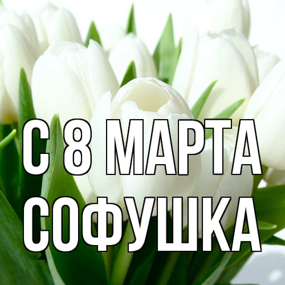 Открытка на каждый день с именем, Софушка C 8 МАРТА цветы Прикольная открытка с пожеланием онлайн скачать бесплатно 