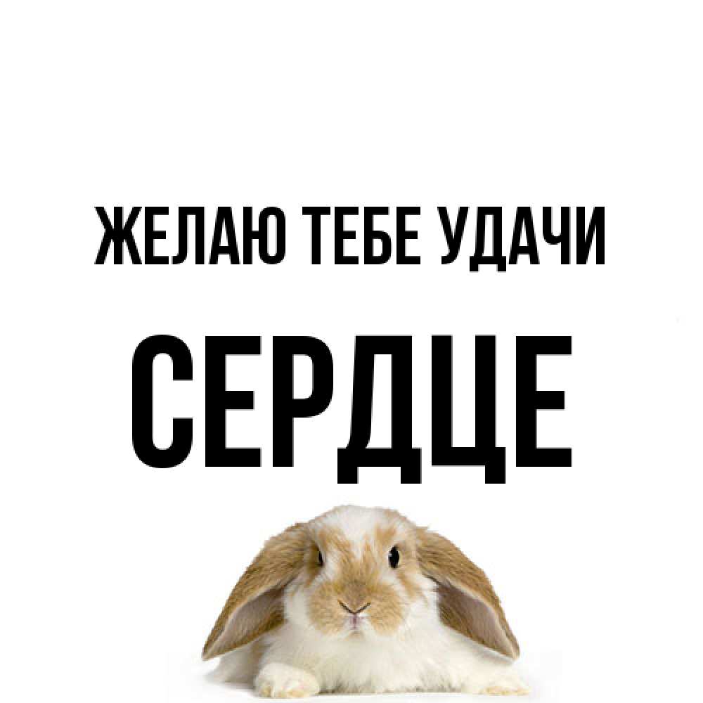 Открытка на каждый день с именем, сердце Желаю тебе удачи открытки с произвольным текстом который можно вставить в открытку и создать ее самостоятельно бесплатно онлайн Прикольная открытка с пожеланием онлайн скачать бесплатно 