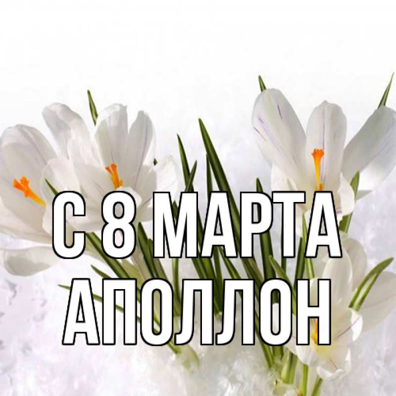 Картинка C 8 МАРТА, Аполлон
