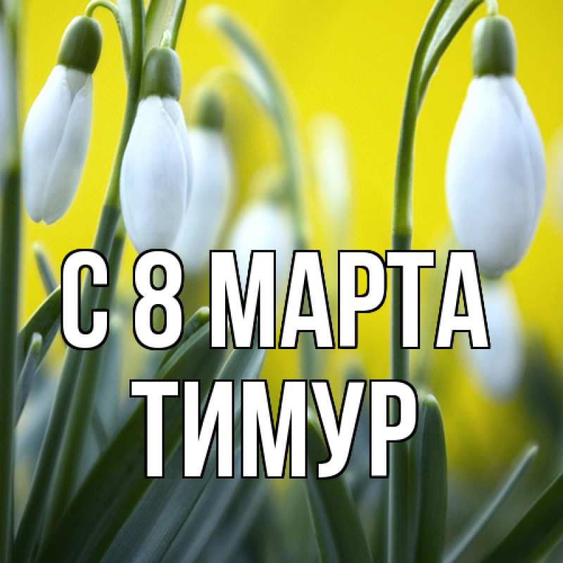 Картинка C 8 МАРТА, Тимур