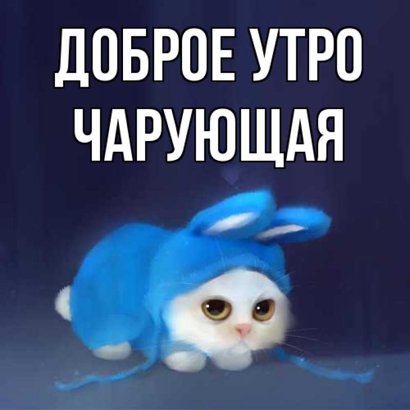 Картинка Доброе утро, Чаpующая
