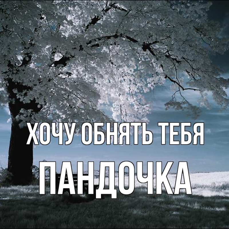 Картинка Хочу обнять тебя, пандочка