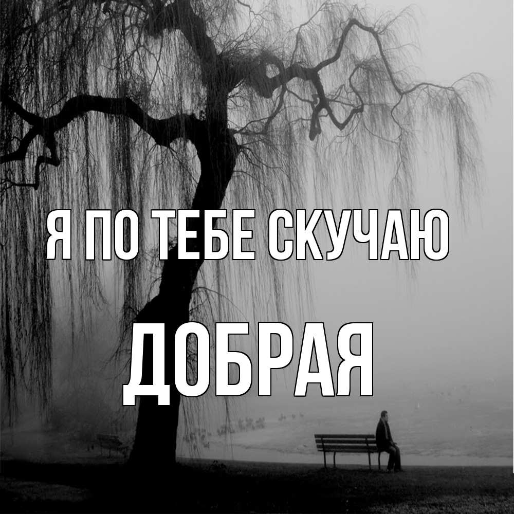 Открытка на каждый день с именем, Добрая Я по тебе скучаю лавочка под деревом я жду тебя Прикольная открытка с пожеланием онлайн скачать бесплатно 