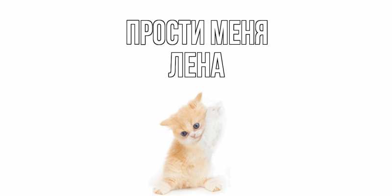 Картинка Прости меня, лена