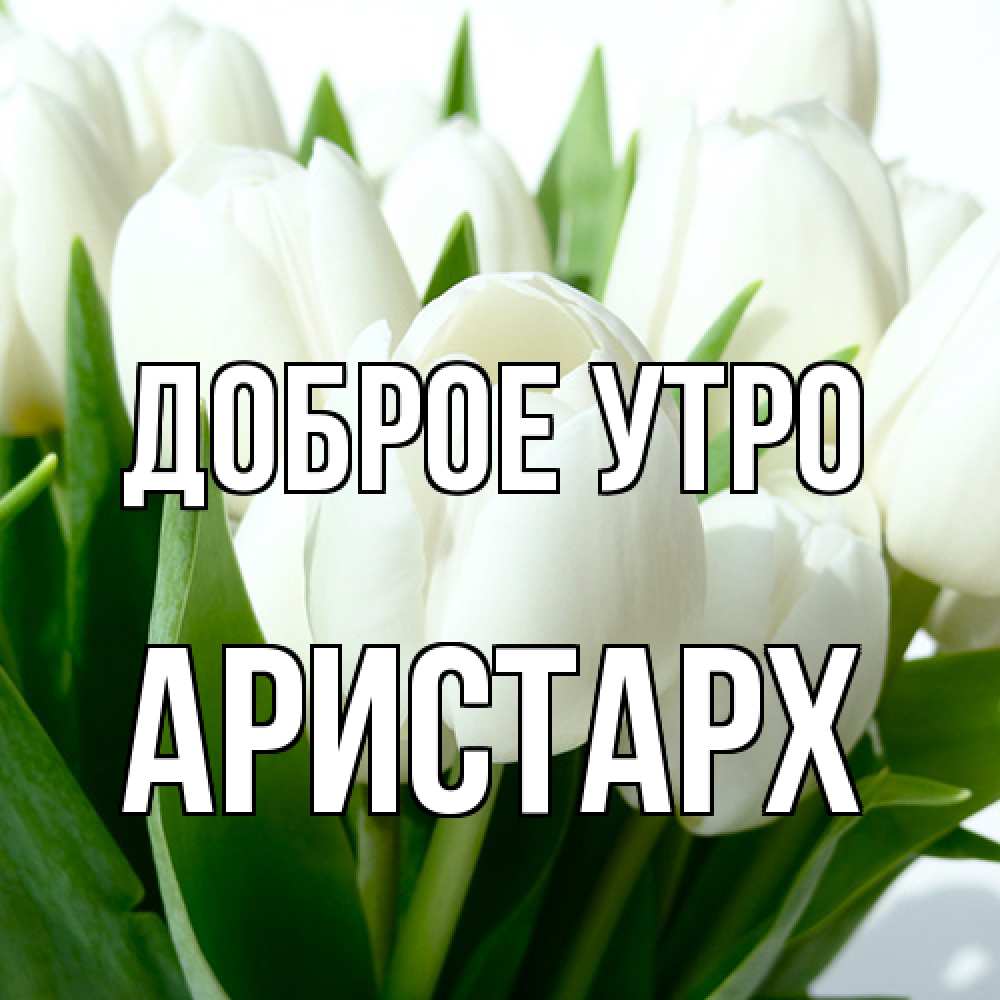 Открытка на каждый день с именем, Аристарх Доброе утро открытки на каждый день по именам Прикольная открытка с пожеланием онлайн скачать бесплатно 
