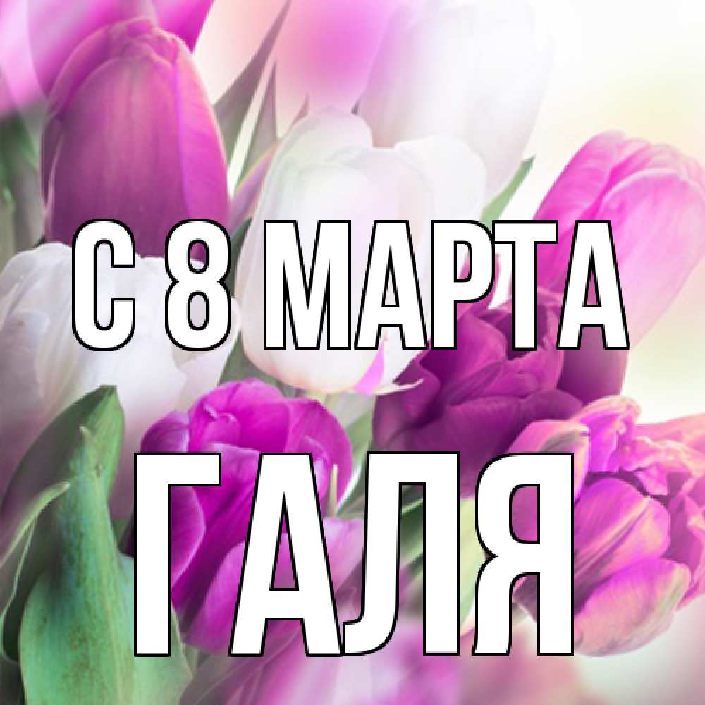 Открытка на каждый день с именем, Галя C 8 МАРТА весна 1 Прикольная открытка с пожеланием онлайн скачать бесплатно 