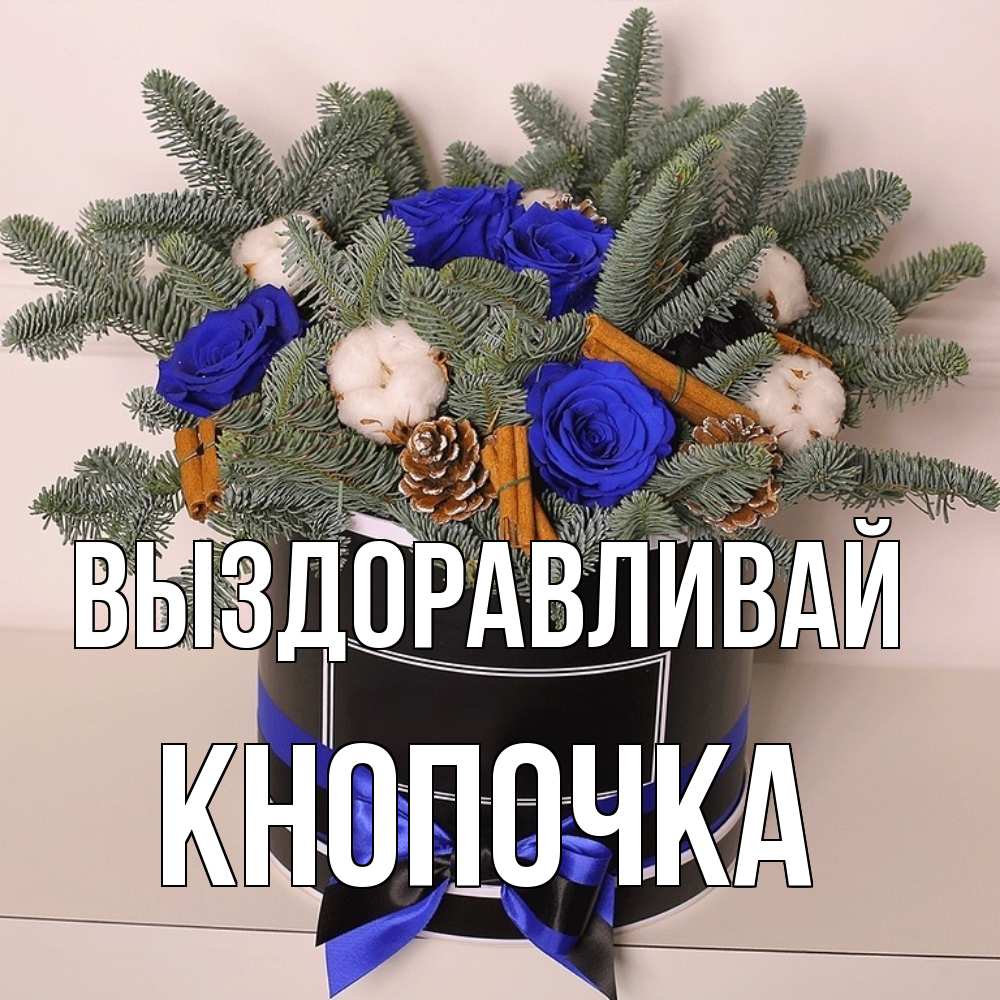 Открытка на каждый день с именем, Кнопочка Выздоравливай короче кто то загрузил эти шишки Прикольная открытка с пожеланием онлайн скачать бесплатно 