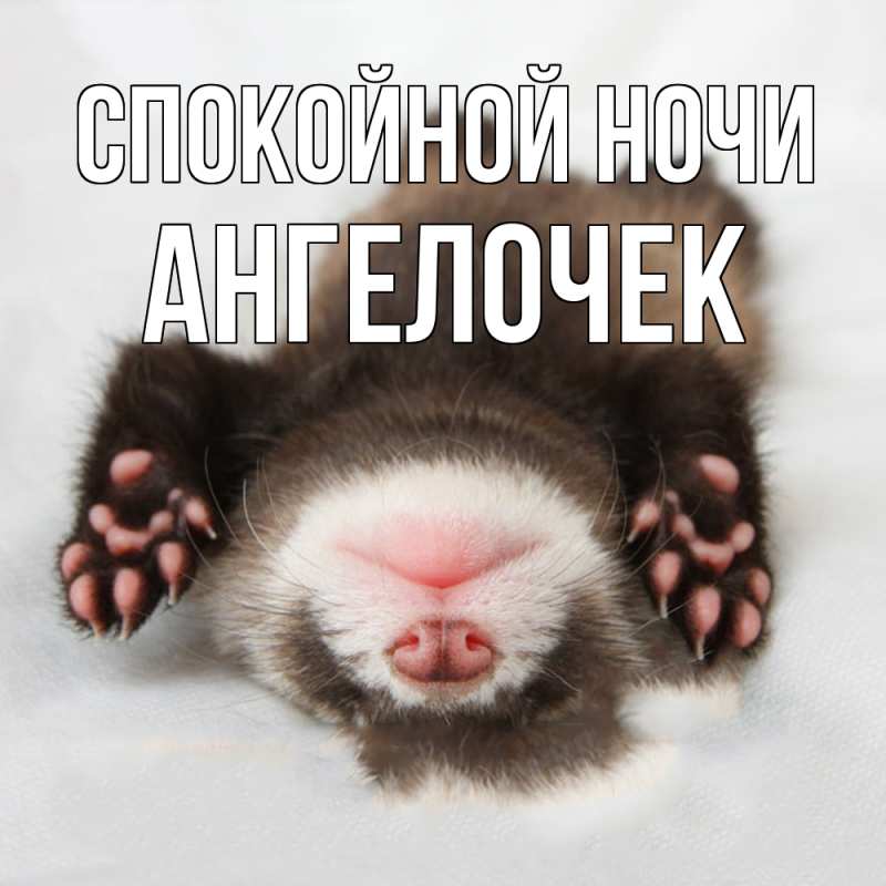 Картинка Спокойной ночи, Ангелочек