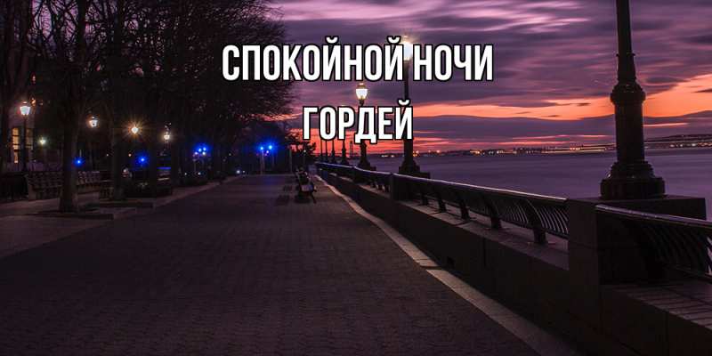 Картинка Спокойной ночи, Гордей