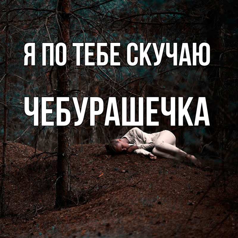 Картинка Я по тебе скучаю, Чебурашечка